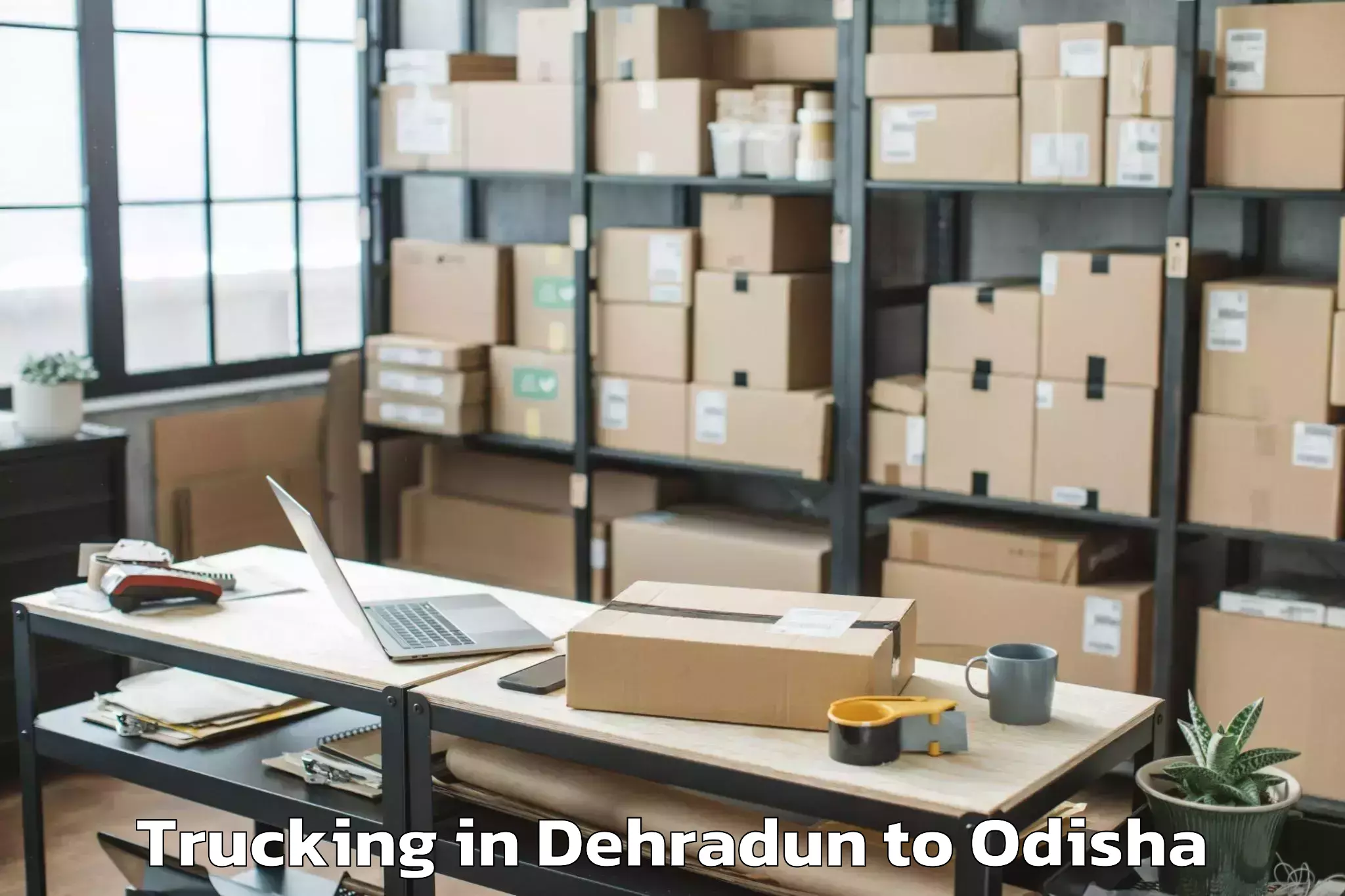 Book Dehradun to Garabandha Trucking Online